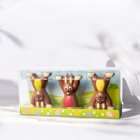 Coffret moulages chocolat figurines de Pâques - 120g