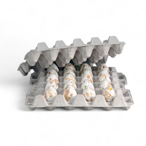 Plateau oeufs nougat n° 0 - 35g