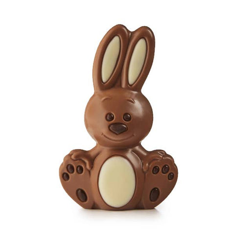 Moulage en chocolat Lapin de Pâques - 60g
