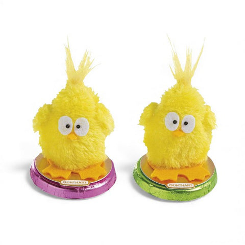 Médaillon chocolat praliné Poussin de Pâques - 24g