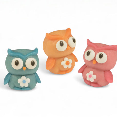 Pâte d’amande assortiment chouettes colorées - 23g