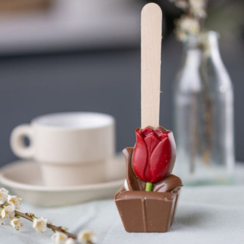 Cuillère à chocolat chaud lait Fleur mini guimauve - 55g