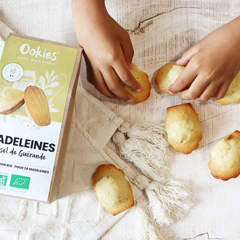 Préparation gâteau bio- madeleines au sel de guérande - 300g