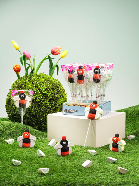 Présentoir de brochettes guimauve coccinelle - 50g