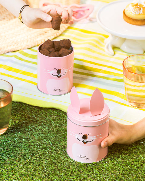 Boite métal truffes motifs animaux assortis - 100g